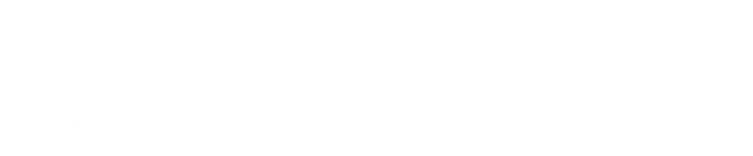 Owl Cleaners